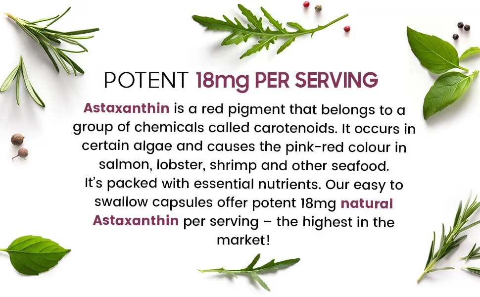 Primary ingredient of our astaxanthin supplement