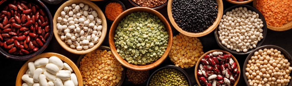 how beans and lentils help with sugar balance