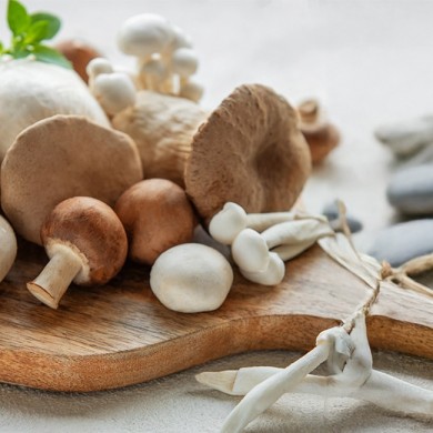 Are mushrooms good for you? Find out here