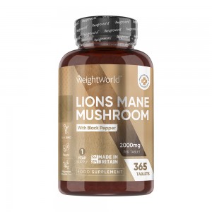 Lion`s Mane Mushroom Tablets