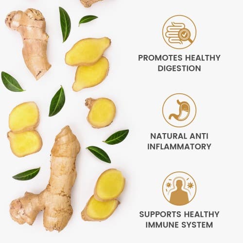 Ginger Capsules Naturally Sourced Wellness Pills WeightWorld