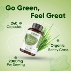 Hughlights of our barley grass capsules