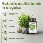 Why choose our organic barley grass capsules